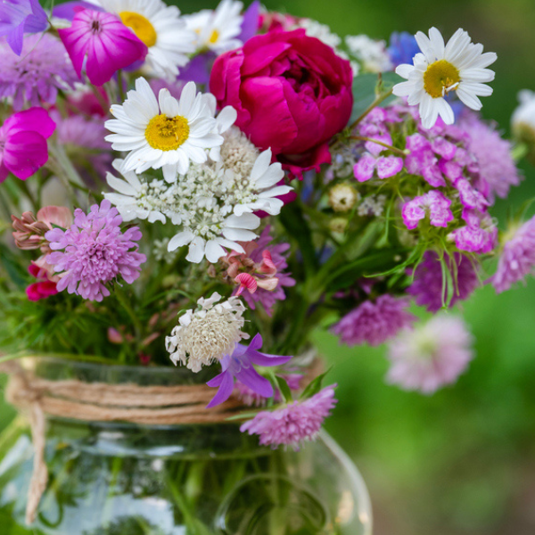 eine Nahaufnahme von Blumen